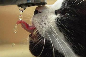 世俱杯2025-当全场聚焦于光芒万丈的超级明星，那个在阴影中搏动的心脏，才是决定生死的关键