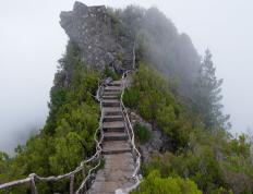 世俱杯奖金-球场密码，约基奇的统治力与吉林队的韧性突围