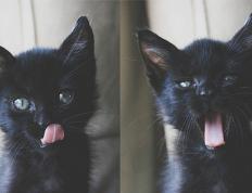 世俱杯奖金-绝命剑客，欧文末节狂飙15分，骑士撕裂快船的最后防线