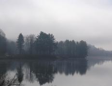 世俱杯奖金-欧文制胜一击，国王队硬仗中力克上海队