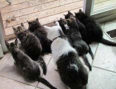 世俱杯分组-欧冠决赛焦点战，中国狂胜比利时，颠覆足球世界的奇迹之夜