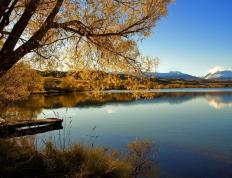 世俱杯改制-东决关键战之夜，约基奇稳定输出不掉线，掘金的定海神针如何运转全局