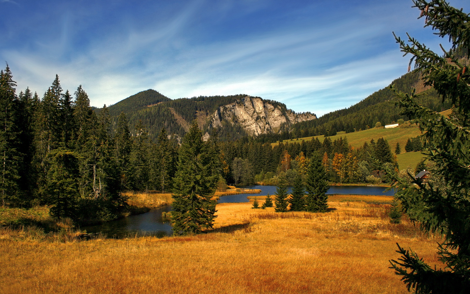 世俱杯改制-闪电刺破铁幕!萨内加时绝杀助尼斯掀翻德国战车