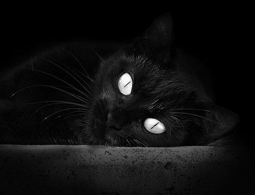 世俱杯改制-浓眉统治级表现引领辽宁队狂胜爵士