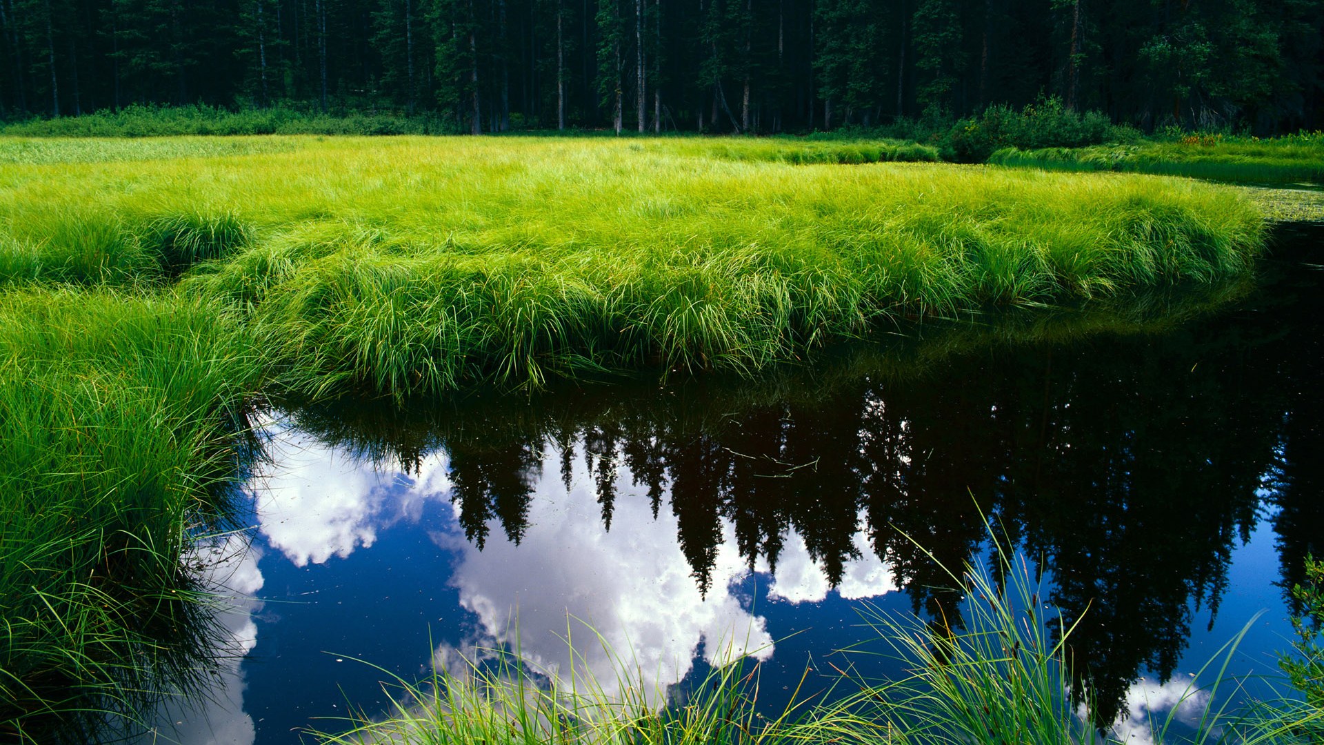 世俱杯决赛-米切尔轰下45分横扫波士顿,尼克斯主场沦陷!凯尔特人迎来最大危机?