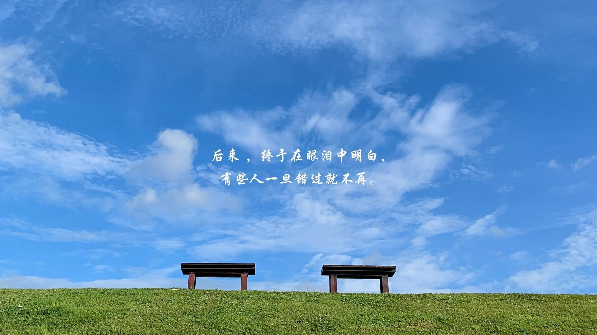 世俱杯奖金-爵士狂胜广东队,东契奇英超争冠接管比赛,体育跨界狂想曲