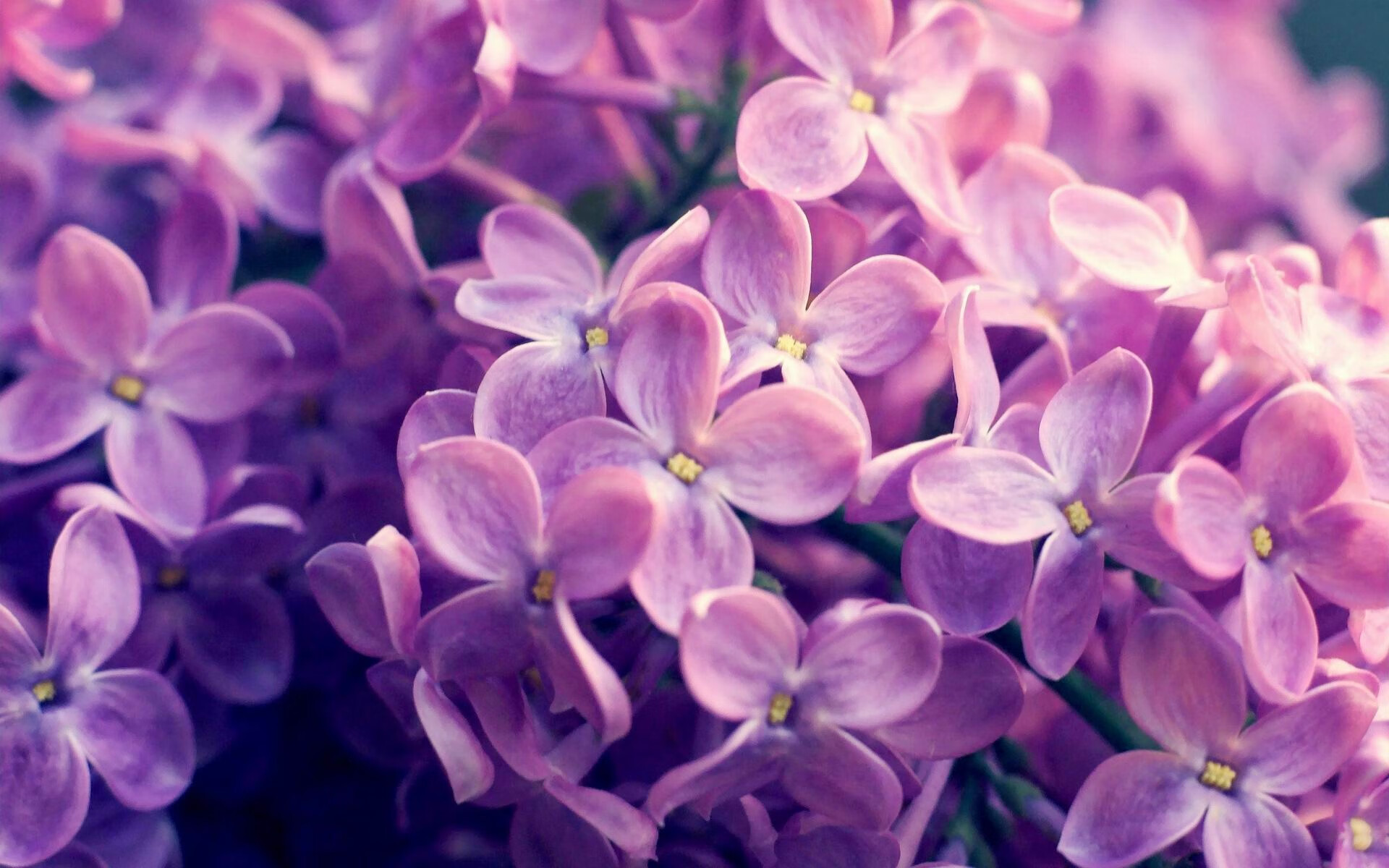 世俱杯改制-不眠之夜的对望,曼城与利拉德的共时传奇