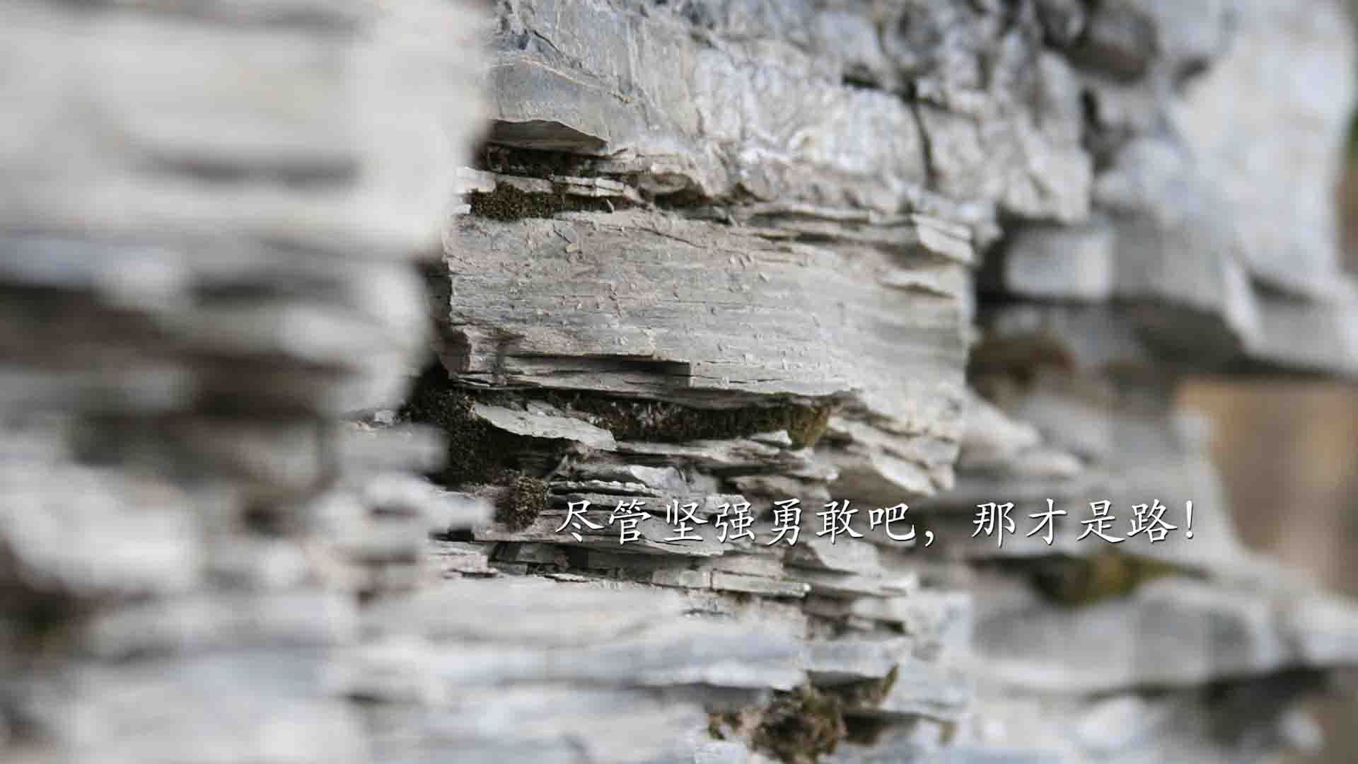 世俱杯奖金-哈登鹈鹕之战砍40+三双,用实力回击所有质疑